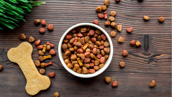 Safe Alternatives to Feed Your Dog Instead of Egg Rolls