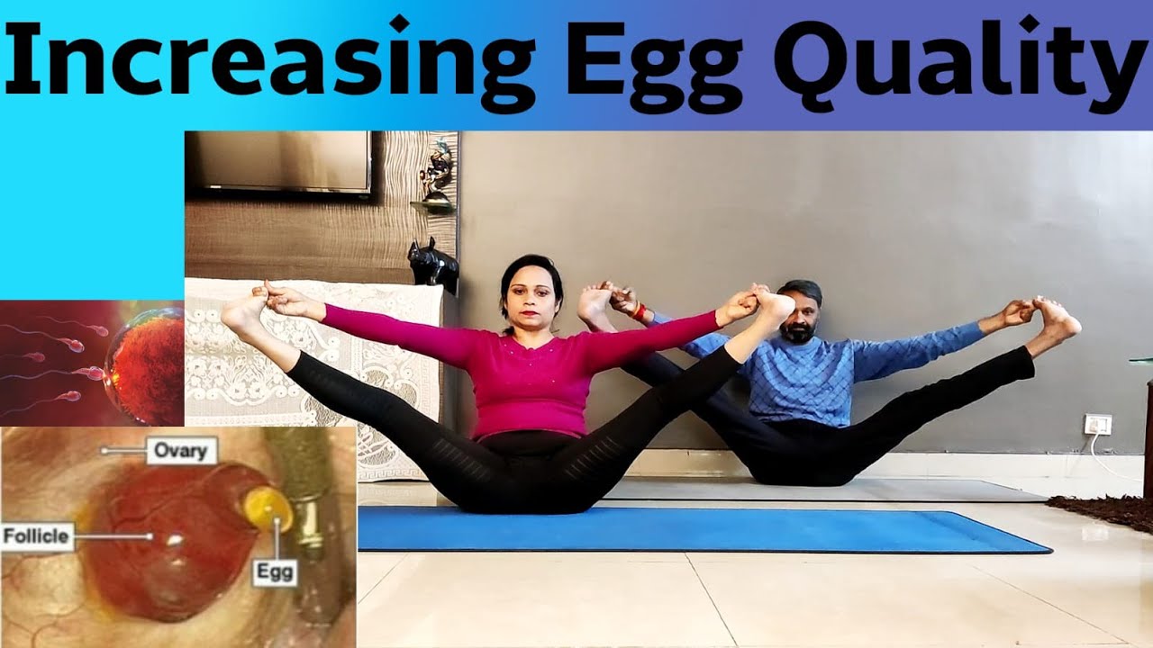 How to Improve Egg Quality